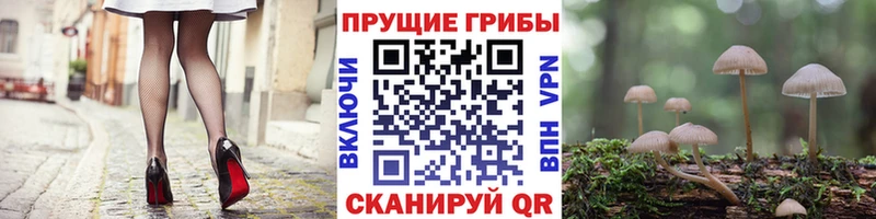 Купить закладки  Сосновоборск  Галлюциногенные грибы мухоморы 